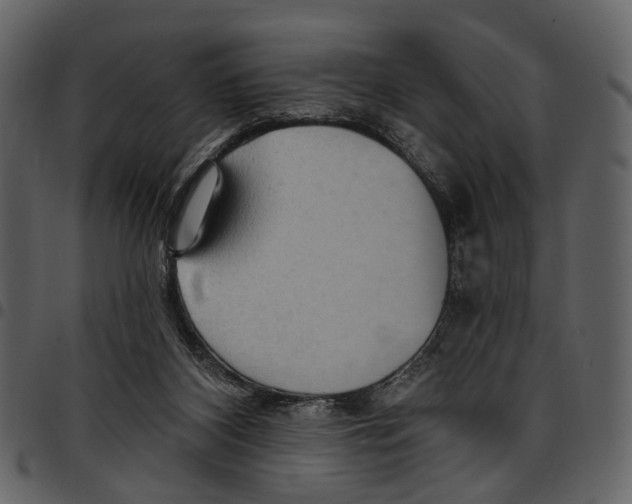 X0000097510116200803201624