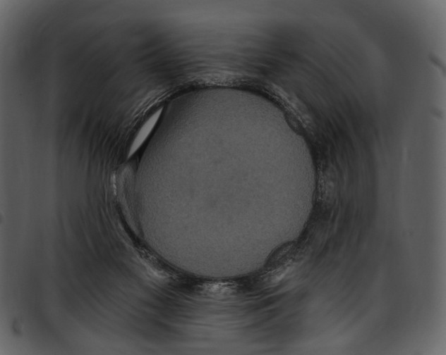 X0000097510117200803201624