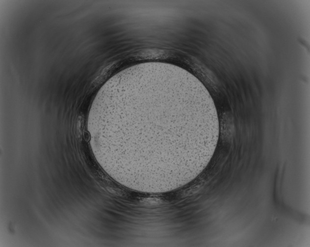 X0000097510119200803201624