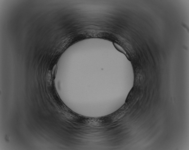 X0000097510121200803201624