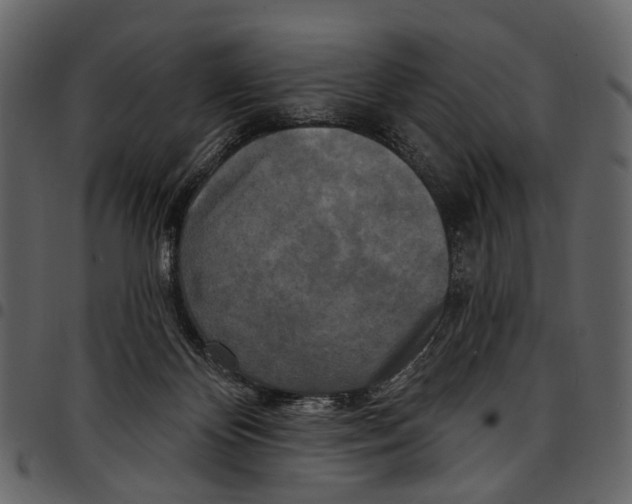X0000097510124200803201624