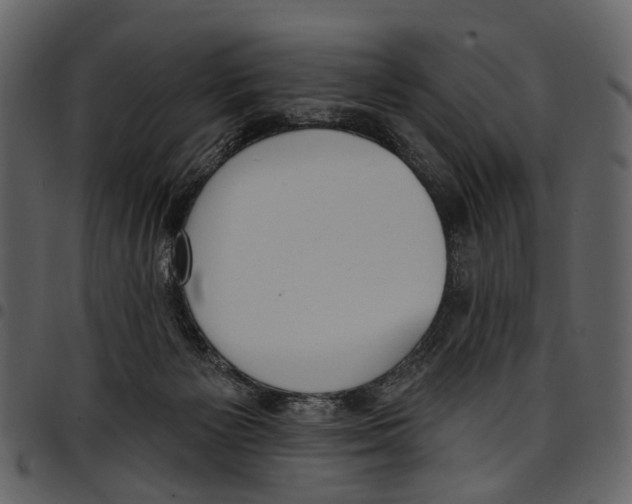 X0000097510125200803201624
