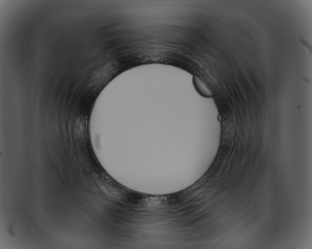 X0000097510126200803201624