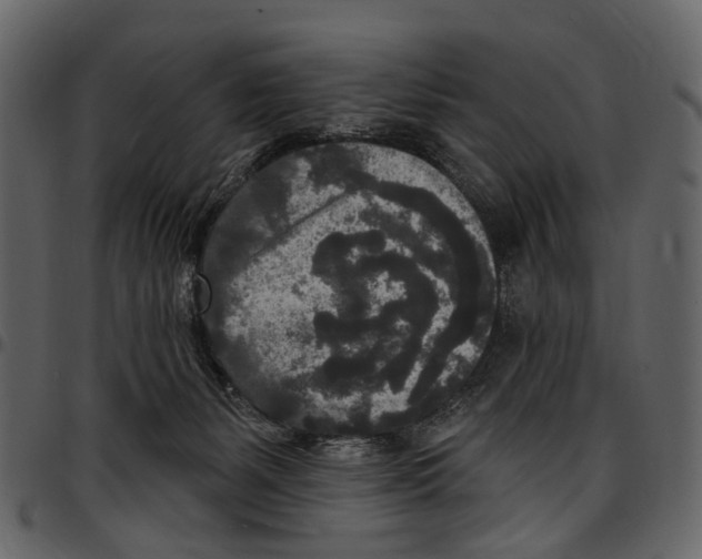 X0000097510127200803201624