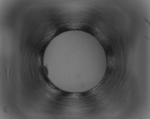 X0000097510128200803201624