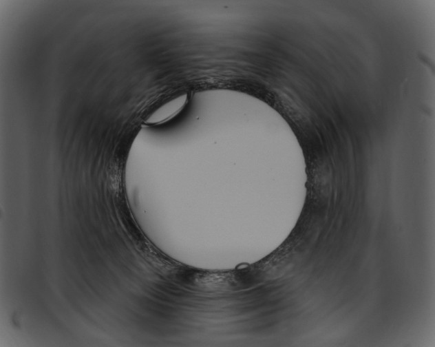 X0000097510129200803201624