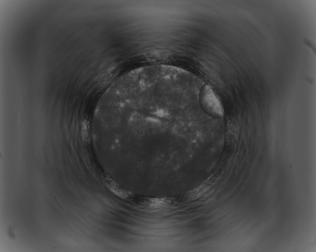 X0000097510130200803201624