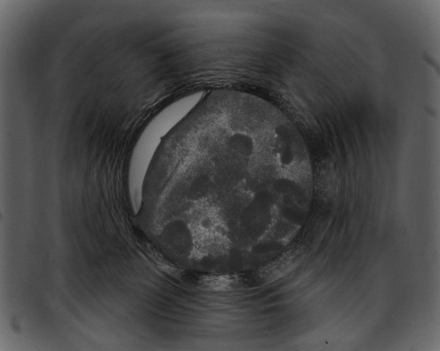 X0000097510131200803201624