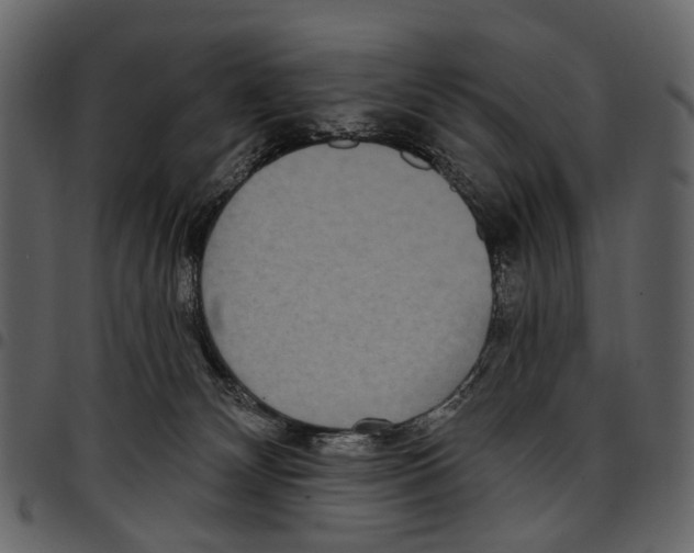X0000097510132200803201624