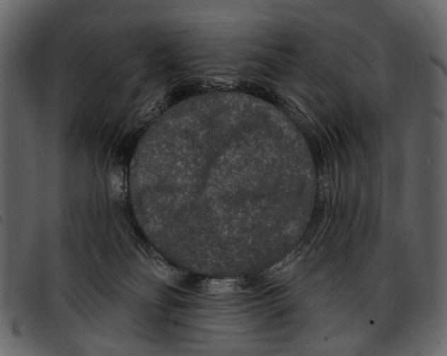 X0000097510134200803201624
