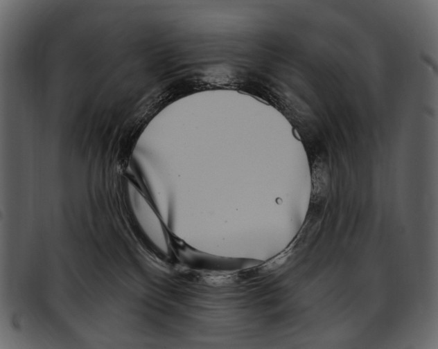 X0000097510136200803201624