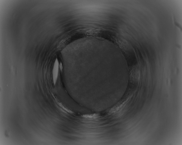 X0000097510137200803201624