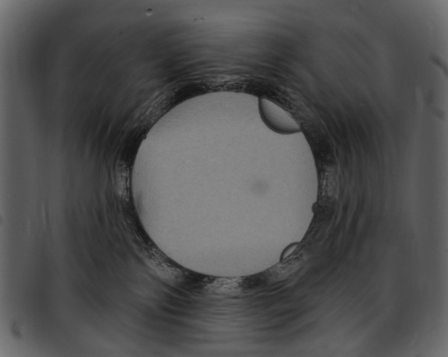 X0000097510138200803201623