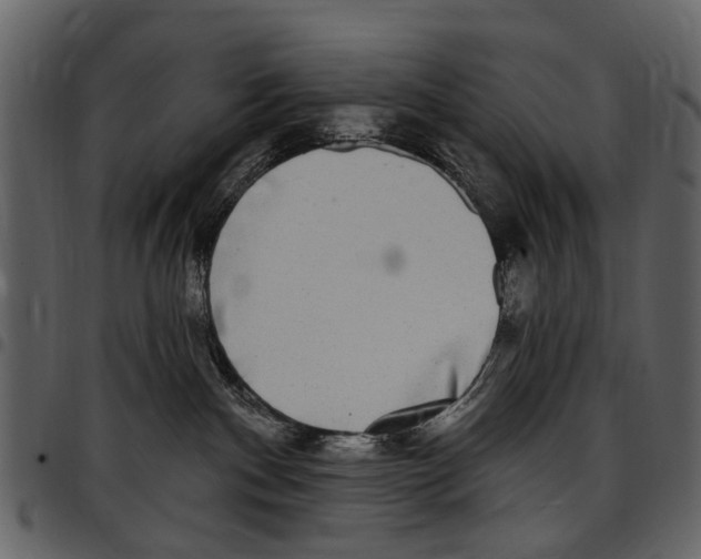 X0000097510140200803201623