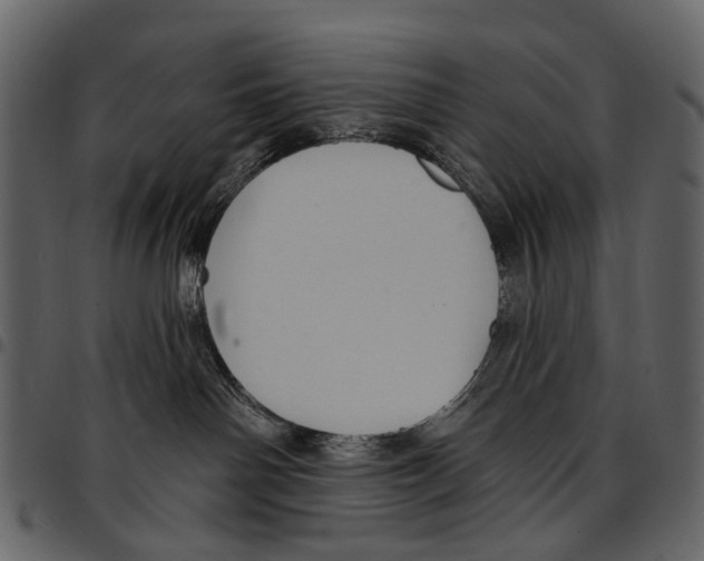 X0000097510142200803201623
