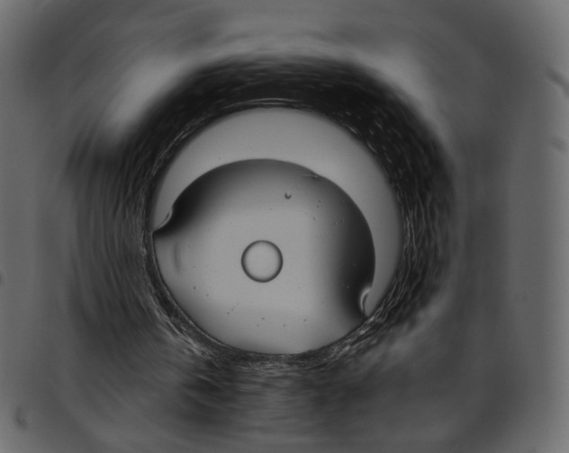 X0000097510146200803201623