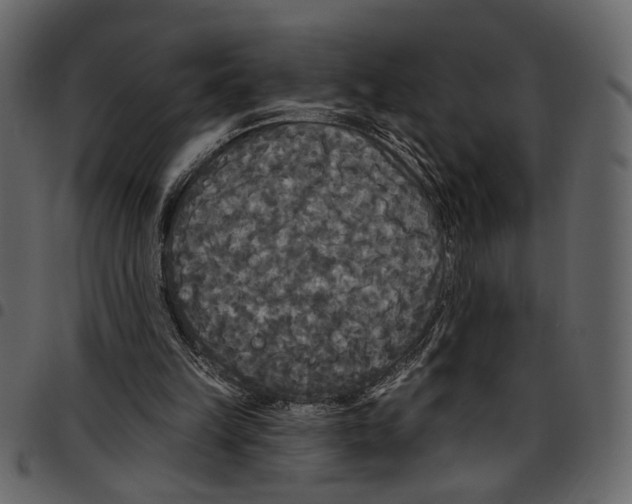 X0000097510149200803201623
