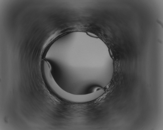X0000097510150200803201623