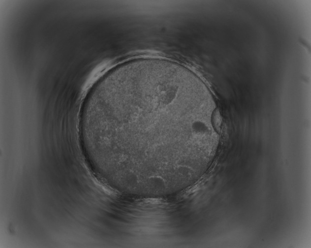 X0000097510151200803201623