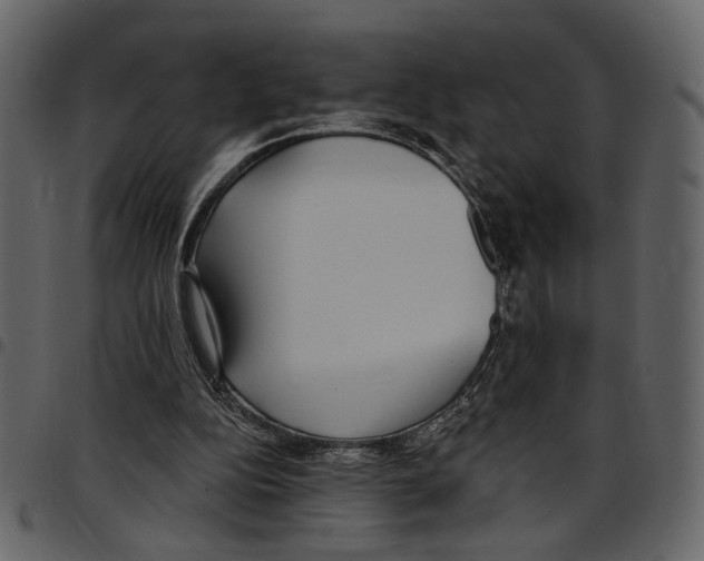 X0000097510152200803201623