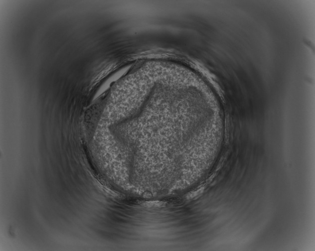X0000097510153200803201623