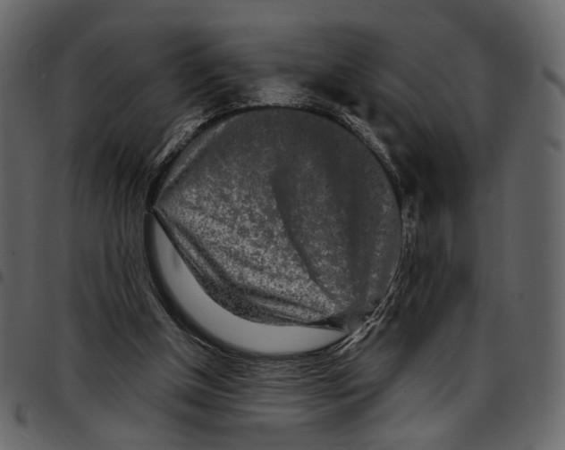 X0000097510154200803201623