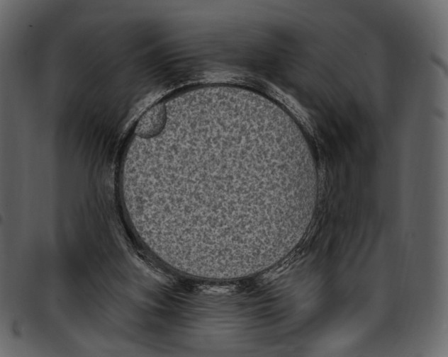 X0000097510155200803201623