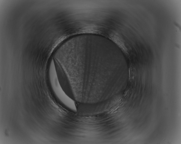 X0000097510156200803201623