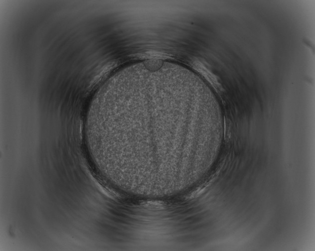X0000097510157200803201623