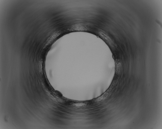 X0000097510158200803201623