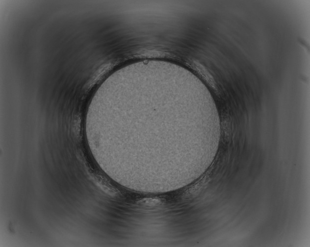 X0000097510159200803201623