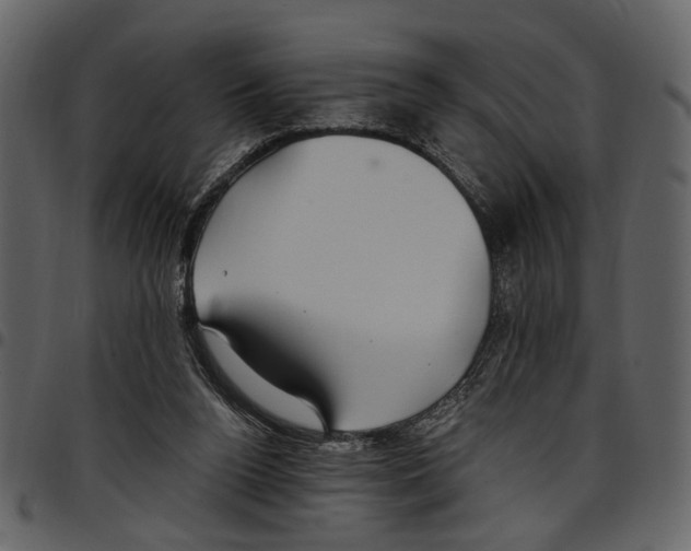 X0000097510160200803201623