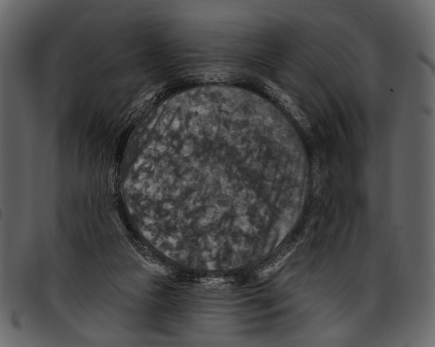 X0000097510161200803201623
