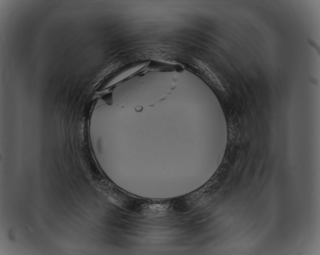 X0000097510163200803201623