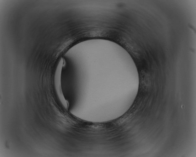 X0000097510164200803201623