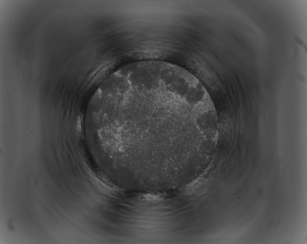 X0000097510166200803201623