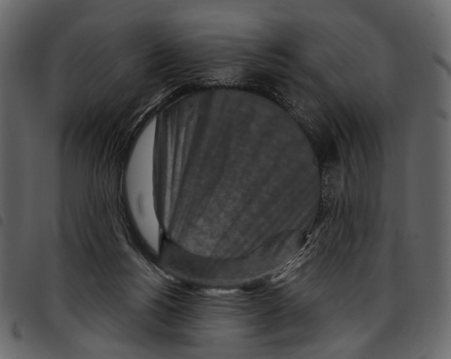 X0000097510168200803201623