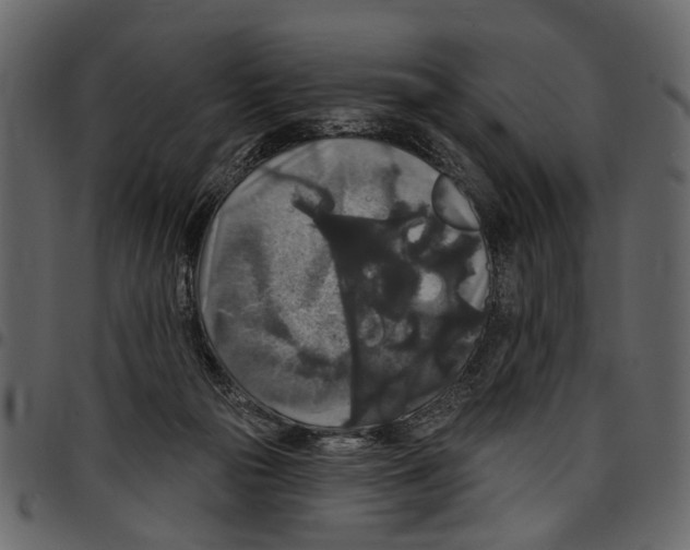 X0000097510169200803201623
