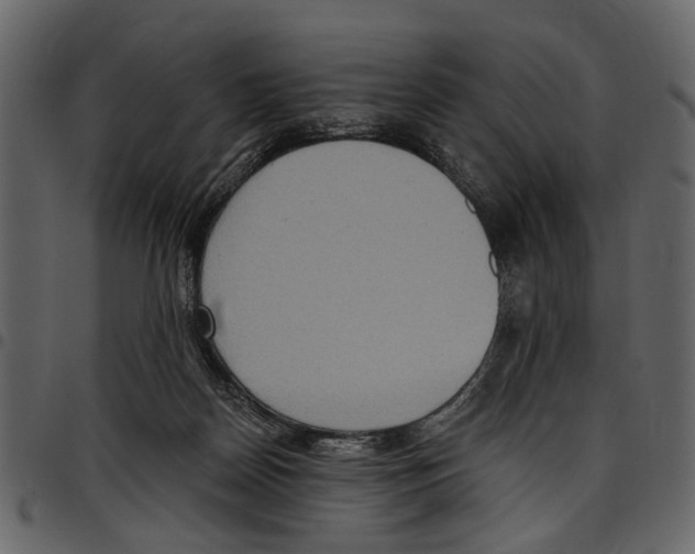 X0000097510170200803201623