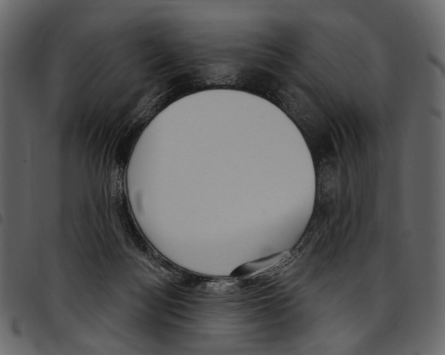 X0000097510172200803201623