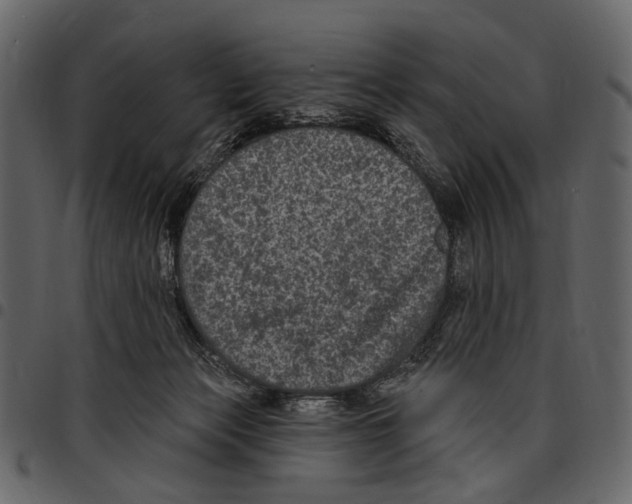 X0000097510173200803201623