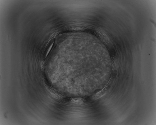 X0000097510175200803201623