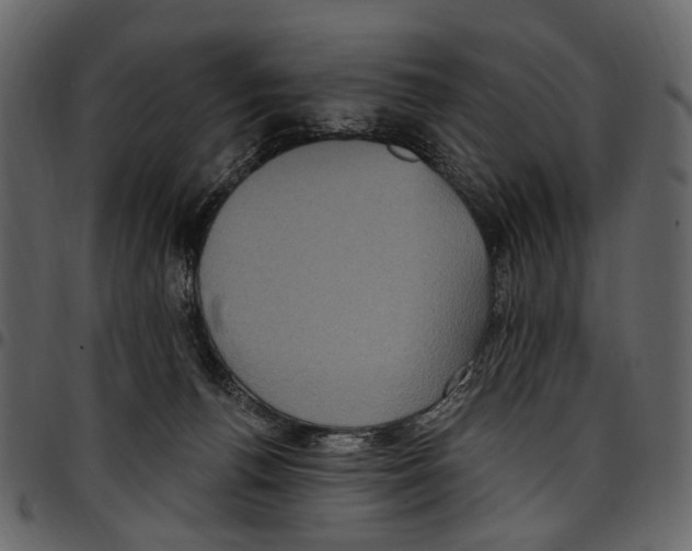 X0000097510176200803201623