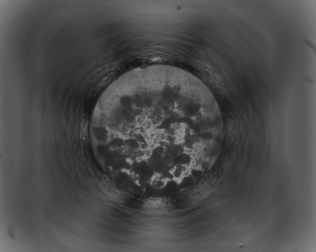 X0000097510177200803201623