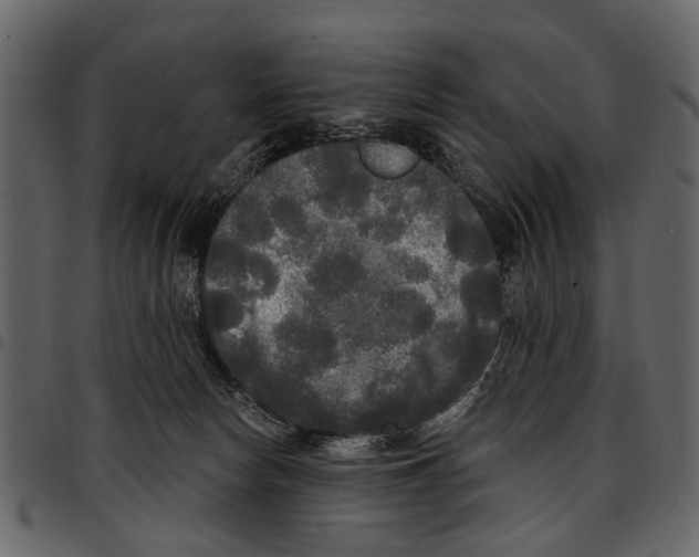 X0000097510178200803201623