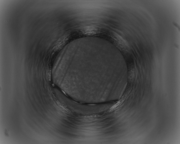 X0000097510180200803201623