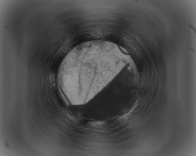X0000097510182200803201623