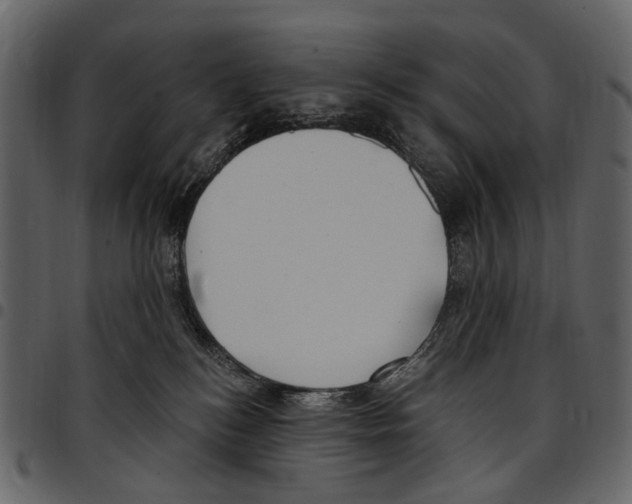 X0000097510184200803201623