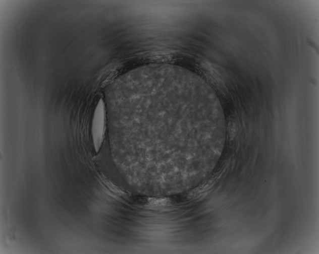 X0000097510185200803201623