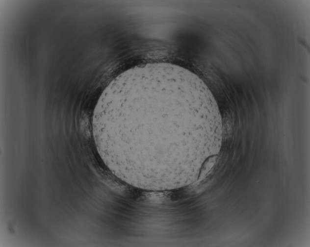 X0000097510187200803201623